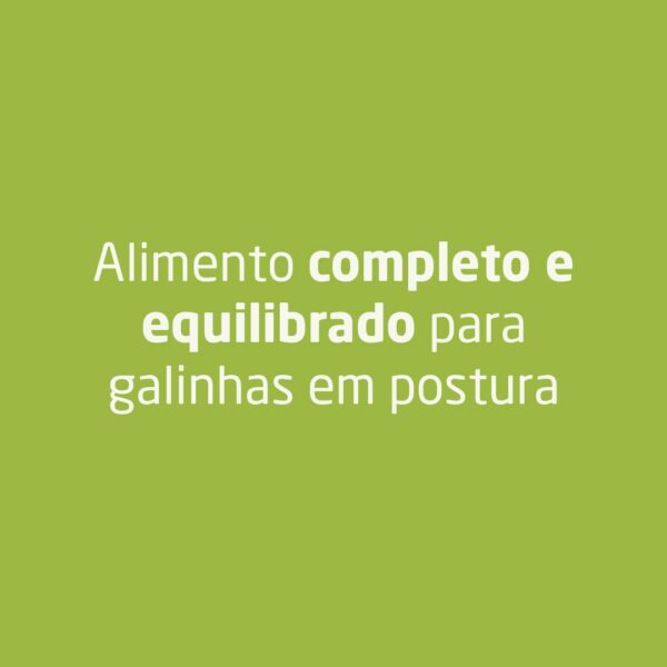 Alimento completo e equilibrado para galinhas em postura