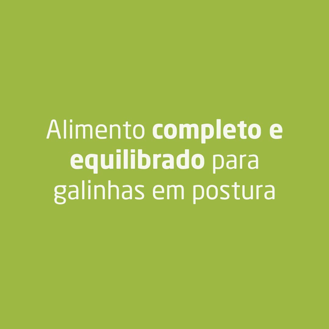 Alimento completo e equilibrado para galinhas em postura