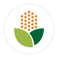 Logomarca Pinhos Armazém Agrícola
