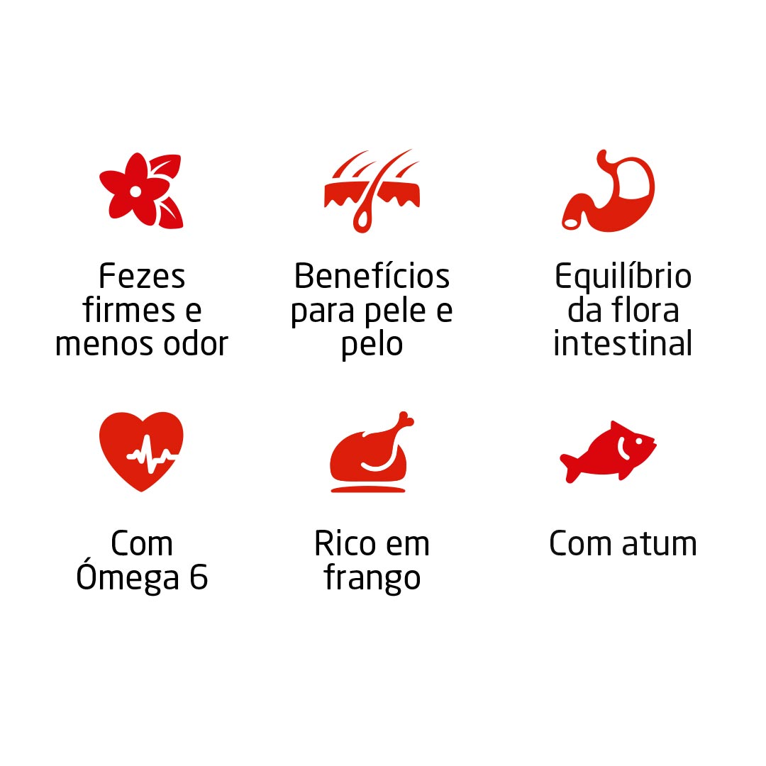 Ração Campeão Gato Adulto - Image 2