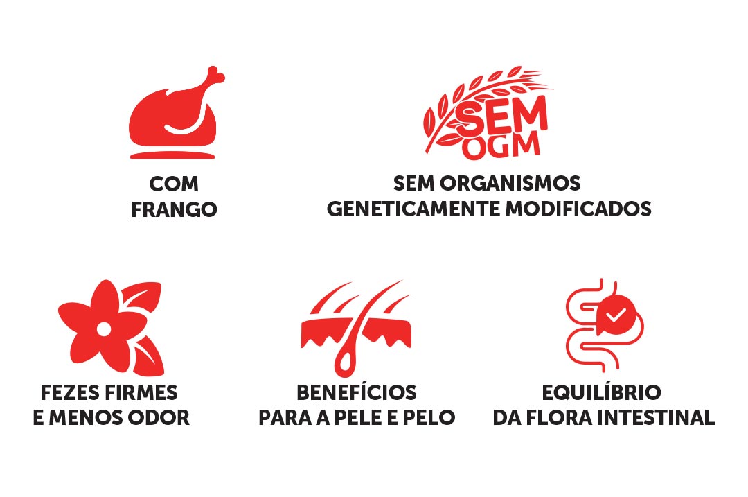 Benefícios para o cão adulto da alimentação diária com ração CAMPEÃO raças pequenas