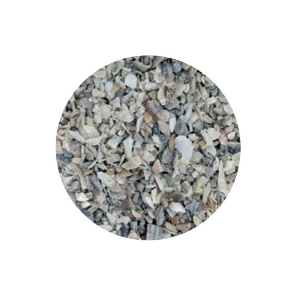 Amostra casca de ostra Lusocereais