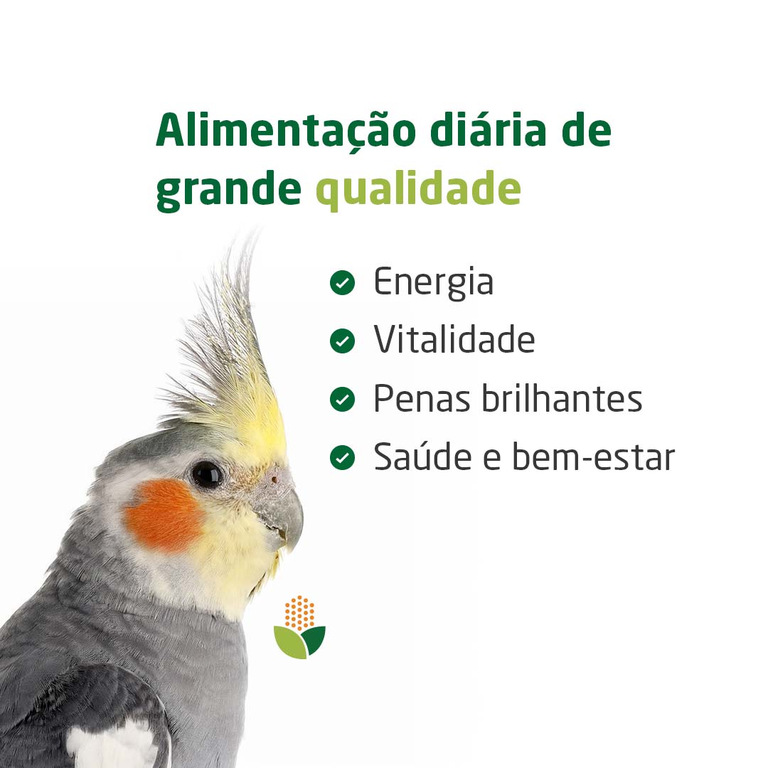 Mistura de grande qualidade para caturras - maior vitalidade, penas brilhantes. Alimentação diária excelente