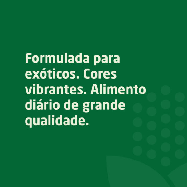 Mistura diária de sementes com grande qualidade para pássaros exóticos