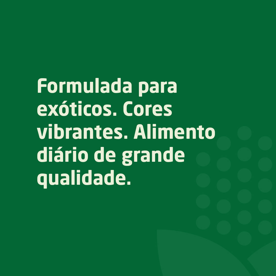 Mistura diária de sementes com grande qualidade para pássaros exóticos
