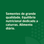 Alimento diário para caturras de grande qualidade - Marca Pet Zêzere da Rações Zêzere