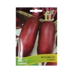 Beterraba Cylindra