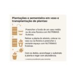 Como usar o substrato orgânico Nutrimais fruteiras