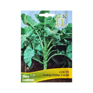 Couve galega folhas lisas
