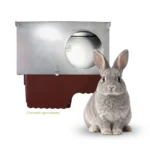 Exemplo de tamanho aproximado de um ninho para coelhos 2 alturas