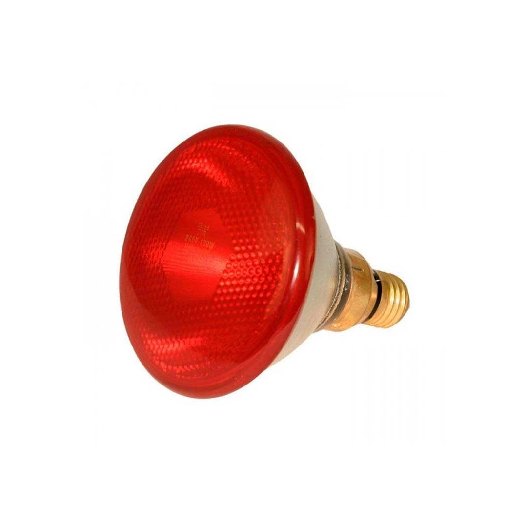 Lâmpada Aquecimento 100W 240V E27 Porcos e Pintos