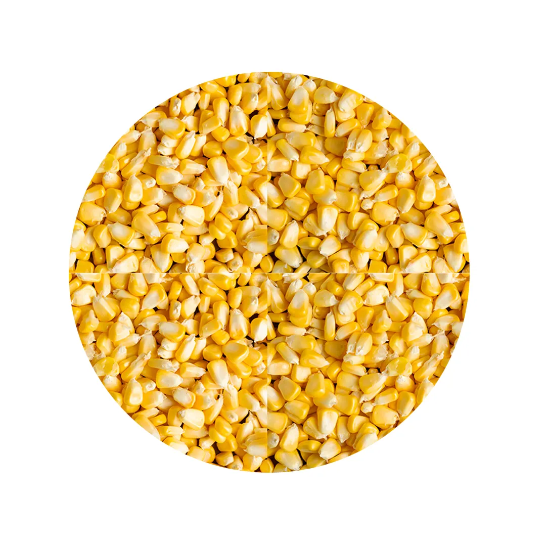 Saco de milho inteiro 30kg