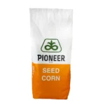 Milho de Semente Pioneer