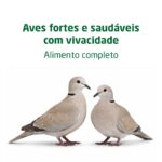 Alimento completo granulado para rolas. Alimentação diária para rolas.