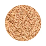 Camarão natural para tartarugas. Ao kilo