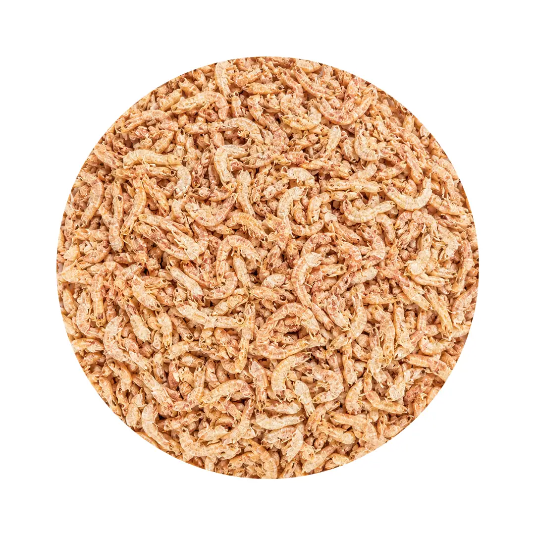 Camarão natural para tartarugas. Ao kilo